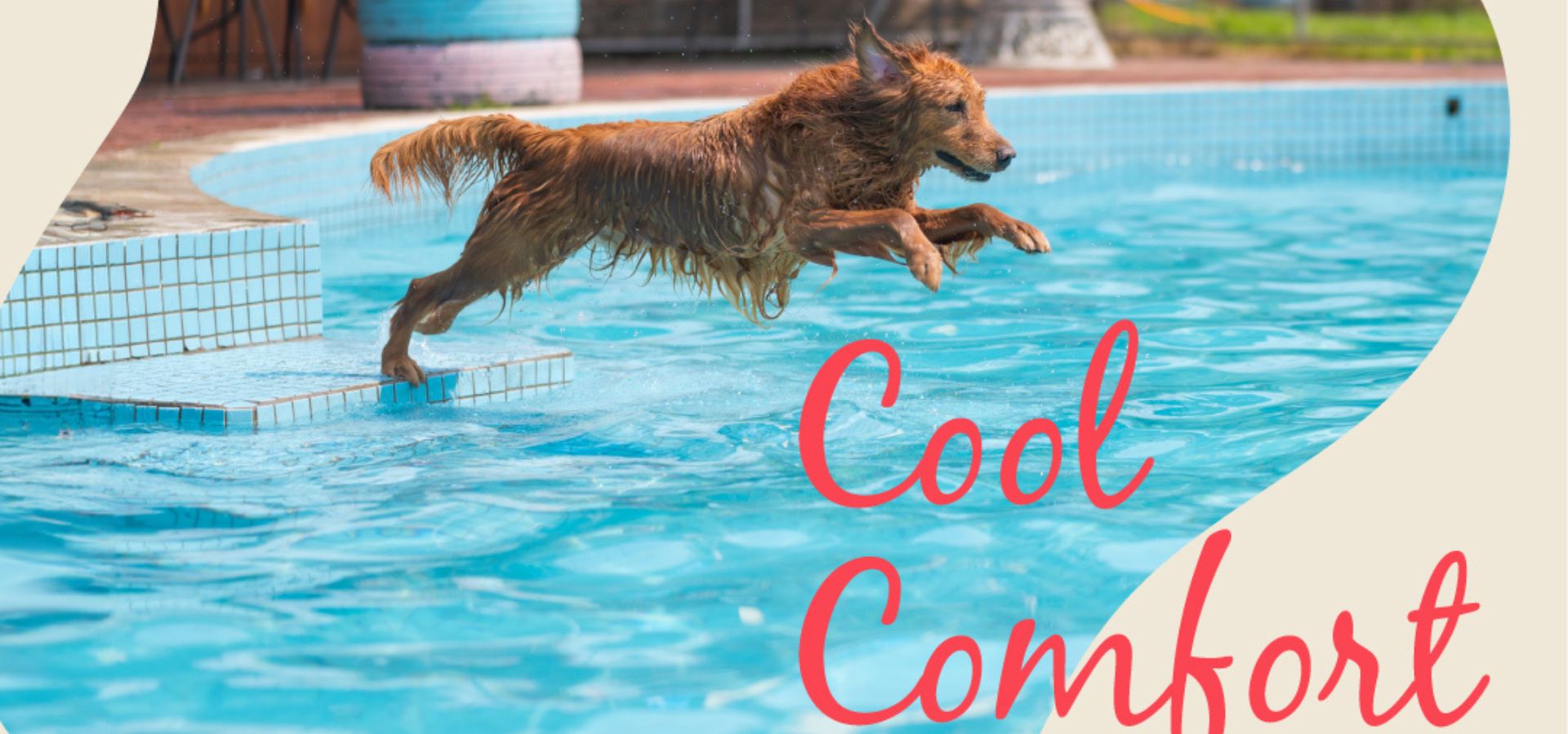 A Cool Pool: How to Keep Your Pool Refreshing in the Summer Heat