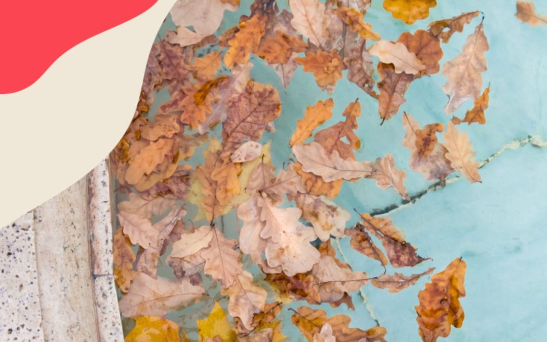 Transition Your Pool for Fall: Essential Maintenance Tips for a Sparkling Swim