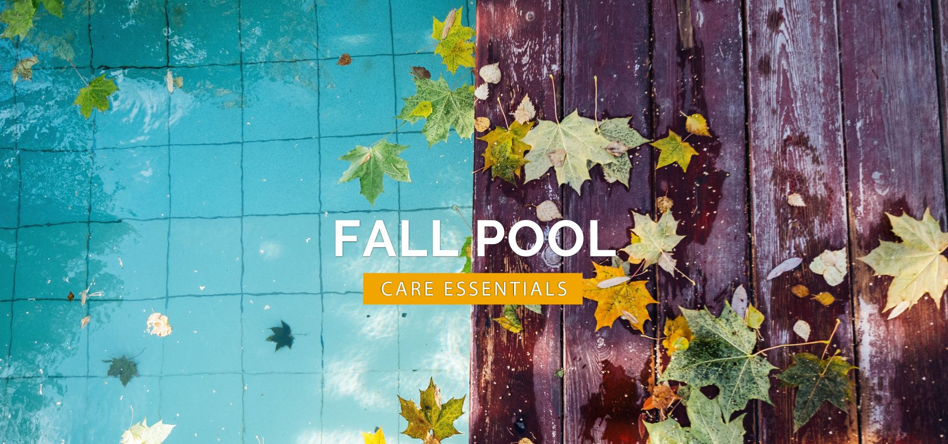 How to Prepare Your Texas Backyard and Outdoor Space for a Cozy Fall Season: November Maintenance Tips and Ideas