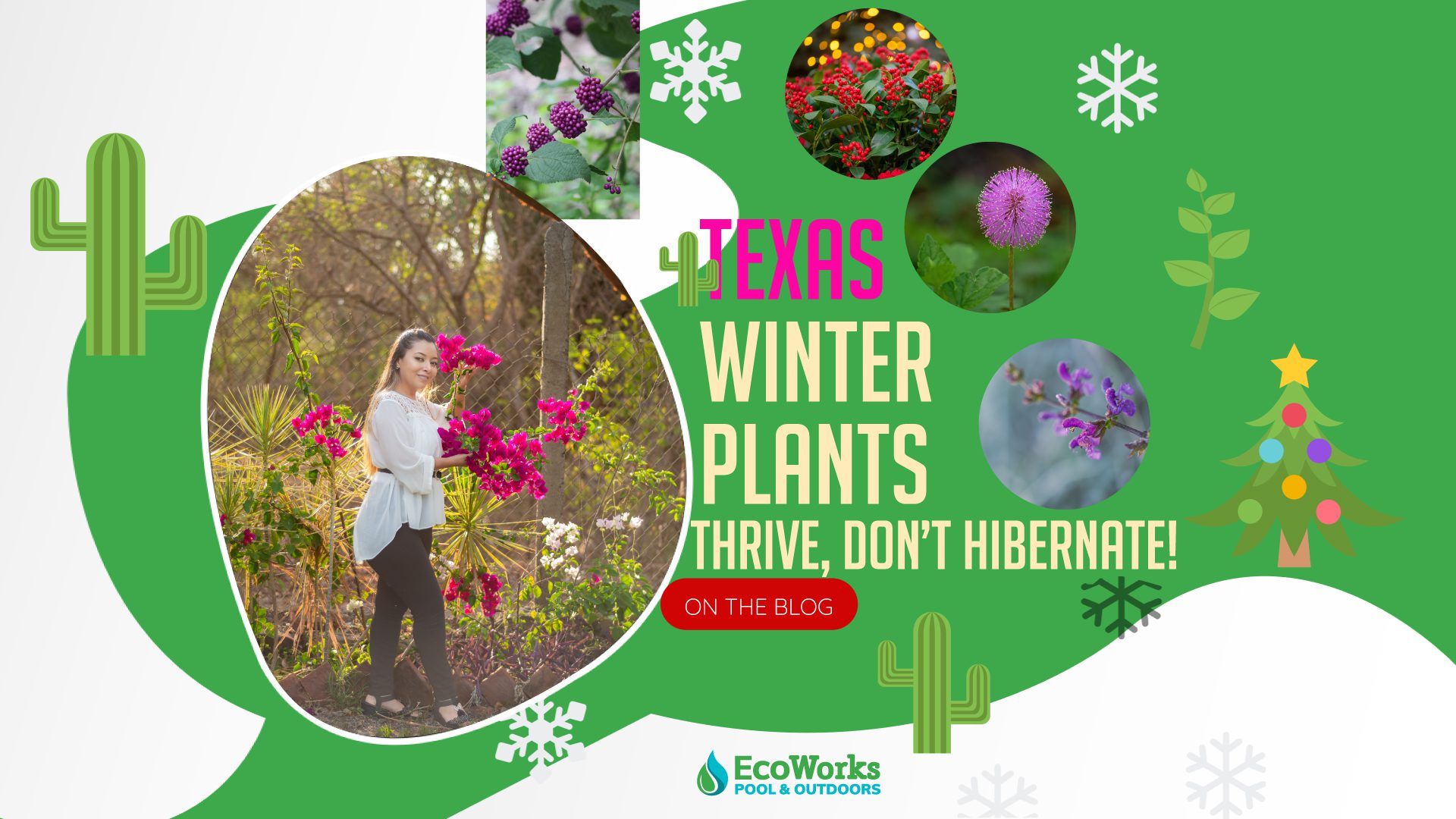 Texas-Friendly Plants for Your Outdoor Space: Winter Edition
