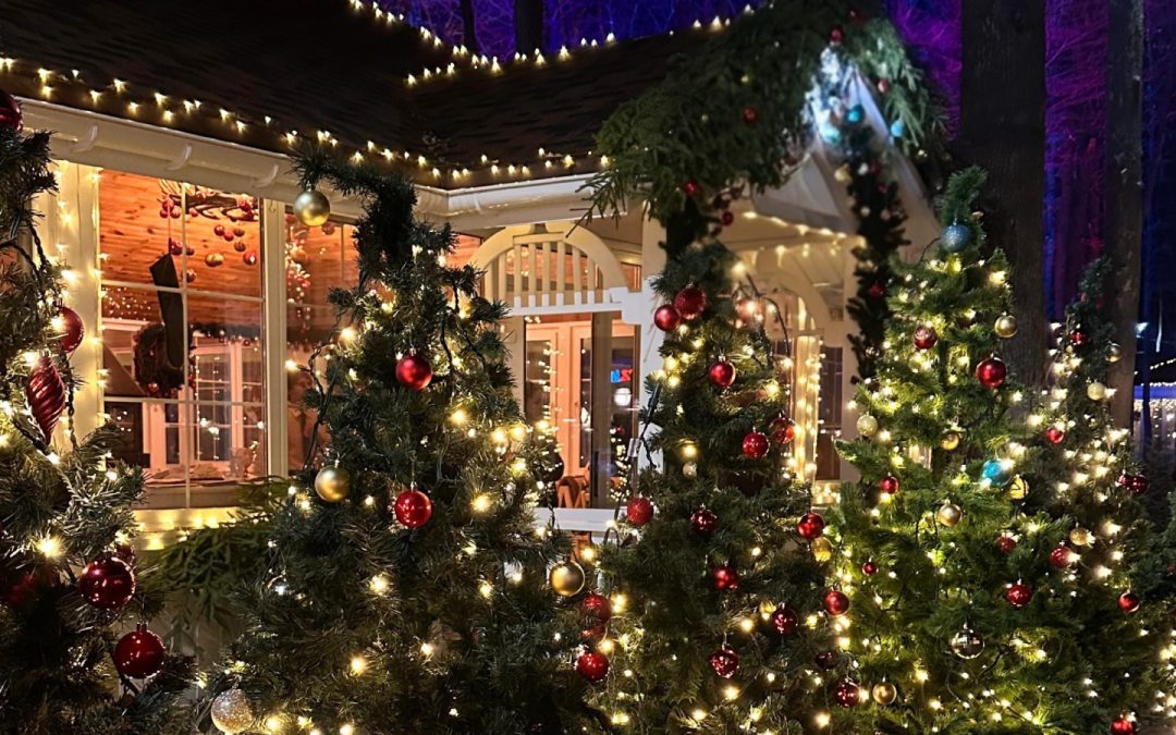 Outdoor Christmas Lighting Ideas