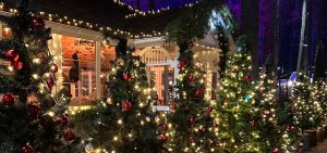 Outdoor Christmas Lighting Ideas