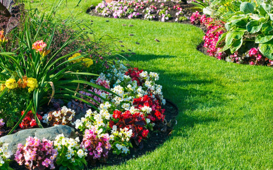 Does Landscaping Really Add Value to Your Home?
